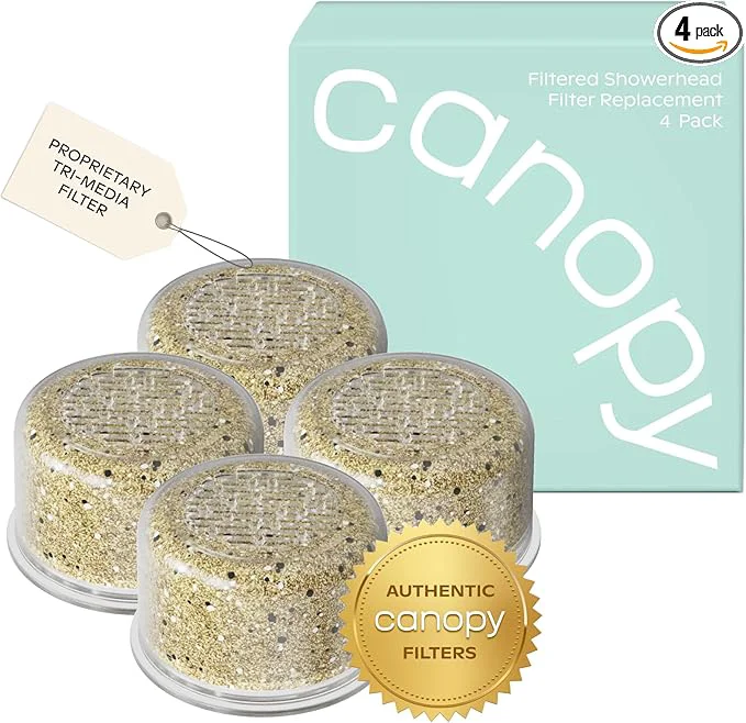 Modern Canopy Showerhead Filter Safe