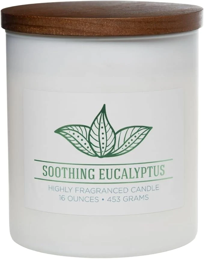Contemporary Carolina Soothing Eucalyptus Scented Candle 16 oz Wellness Relaxing High-End
