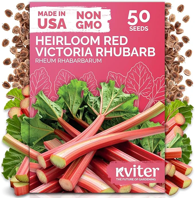 Lightweight KVITER 50 Red Victoria Rhubarb Seeds Elite