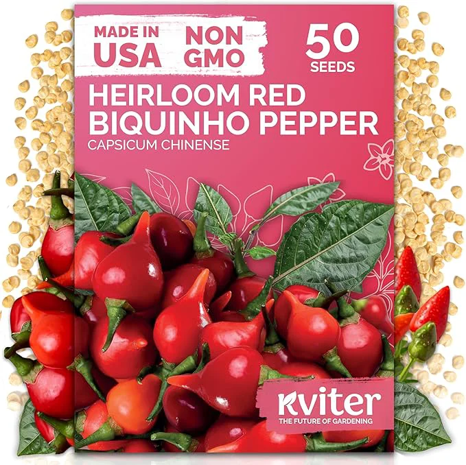 Specialty KVITER 50 Pimenta Biquinho Sweety Drop Peppers Seeds – Chupetinho Pimenta de Genuine