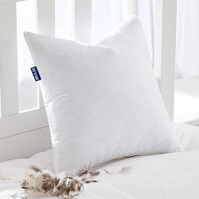 Solid MIULEE Feather Pillow Insert 22×22 Decorative Down Throw Pillow Insert Fluffy Clean