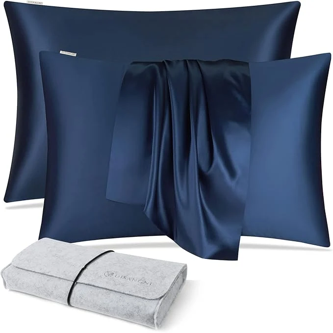 Exceptional DISANGNI Natural Mulberry Silk Pillow case Detailed
