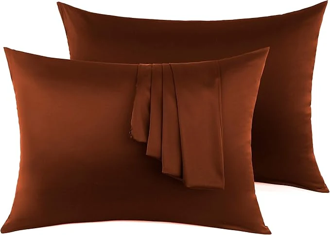 First-Class Silk Pillow Cases 2 Pack Mulberry Silk Pillowcase Soft