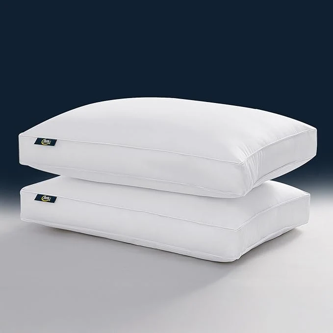 Stylish Serta Hotel Collection Pillows King Size Set of 2 White Goose Feather Down Organic