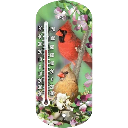 Fashionable Taylor Cardinal Outdoor Window Thermometer 8 in. Organic