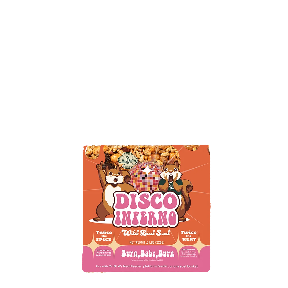 Clean Mr. Bird Disco Inferno Small Seed Cake Environmentally Friendly