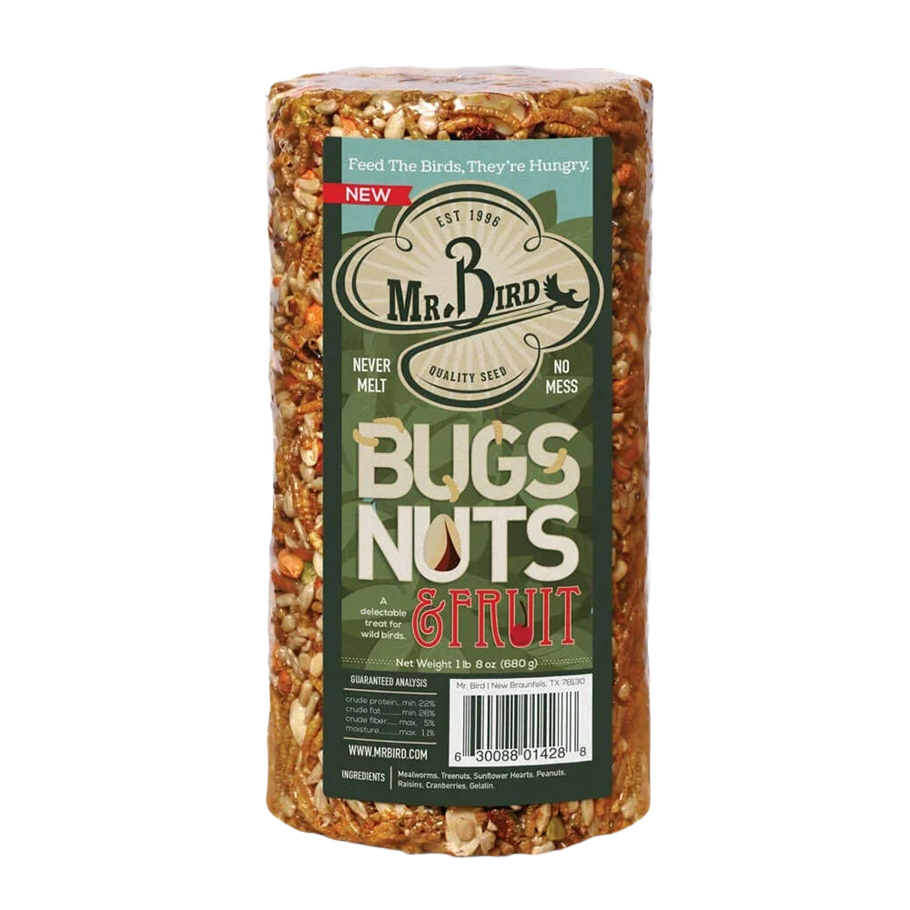 Clean Mr. Bird Bugs Nuts Fruit Small Seed Cylinder Secure