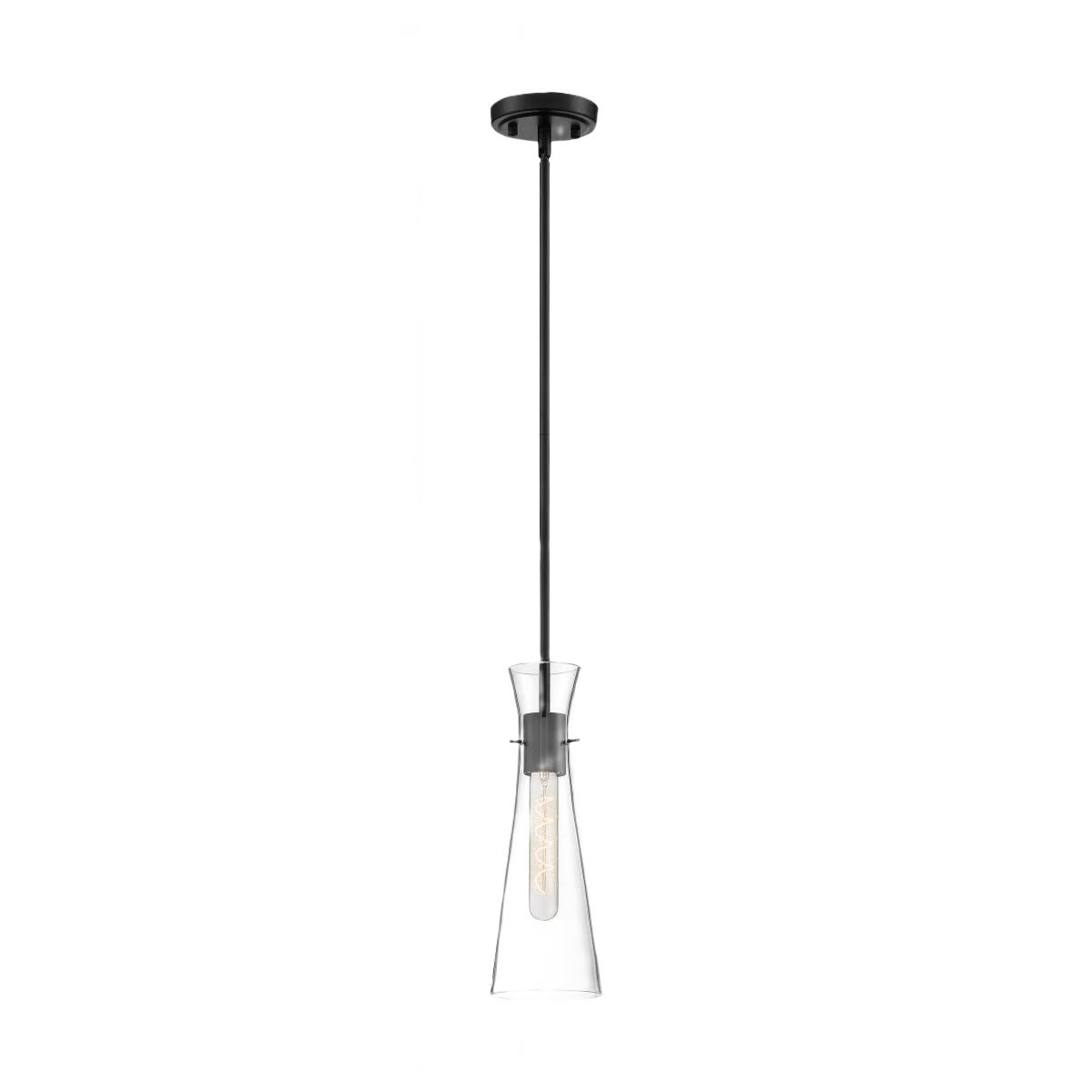 First-Class Satco Bahari 1-Light Mini Pendant with Clear Glass and Black Finish 14 in. Functional