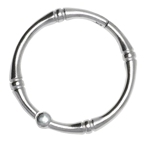 Sophisticated Zenith Chrome Hudson Shower Curtain Rings Sustainable