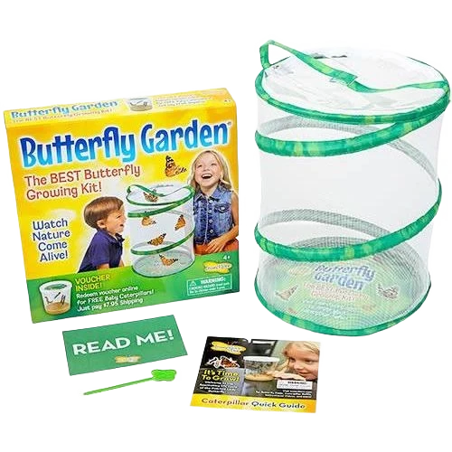 Natural Insect Lore Butterfly Garden Kit High-Quality