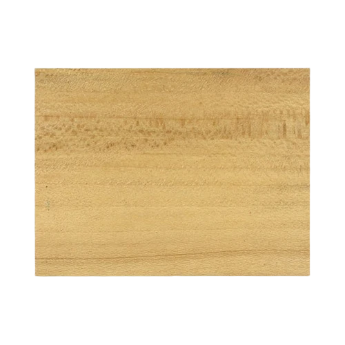 Sophisticated 6 x 6 x 3 in. Sycamore Turning Blank Convenient