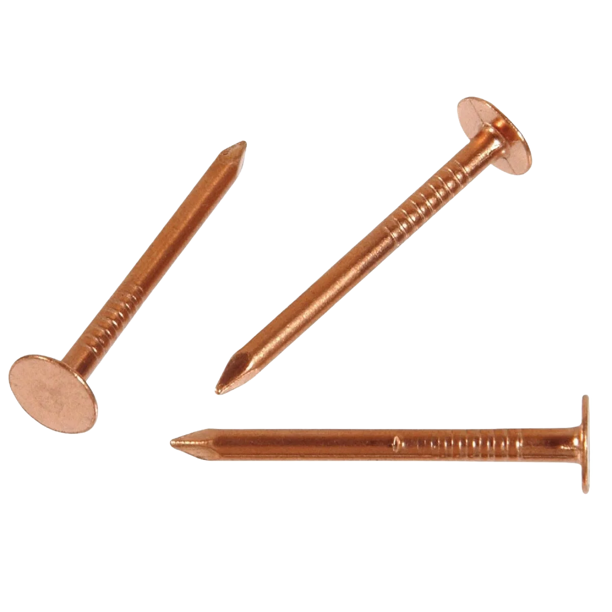 Fashionable Anchor Wire 1-1 2 in. 11-Gauge Copper Slate Specialty Nails 5-Count Quality