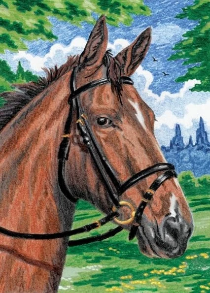 Natural Notions Color by Number Horses Smooth