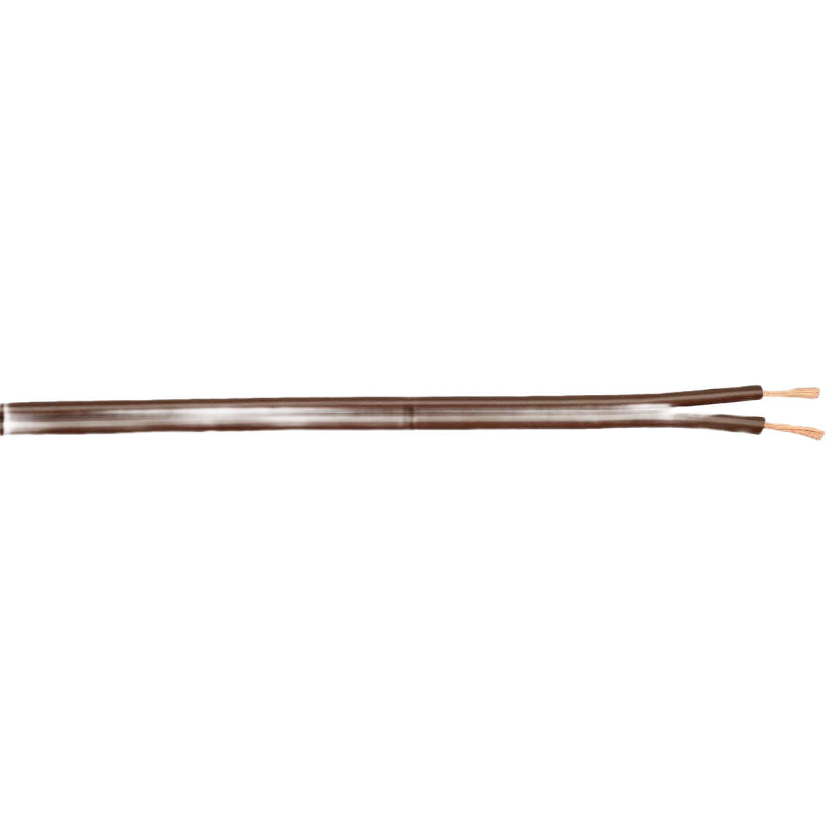 Sophisticated Coleman Cable 250 Ft. 18 2 Brown Lamp Cord Outstanding