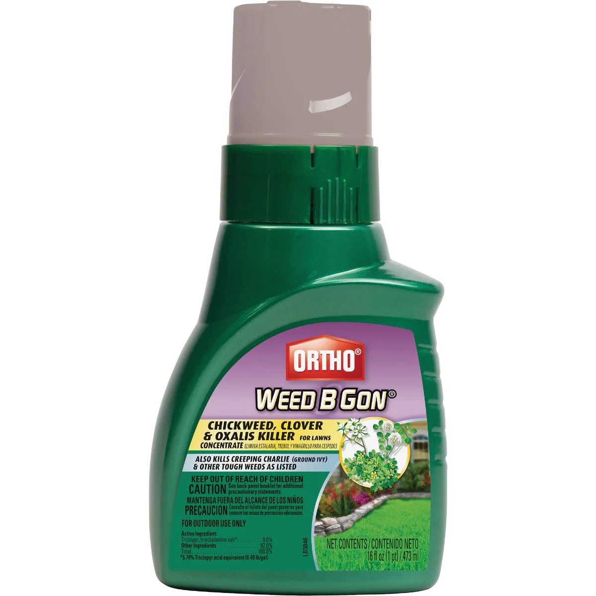Comfortable Ortho 16 oz. Weed B Gon Chickweed Clover Oxalis Killer Concentrate for Lawns Environmentally Friendly