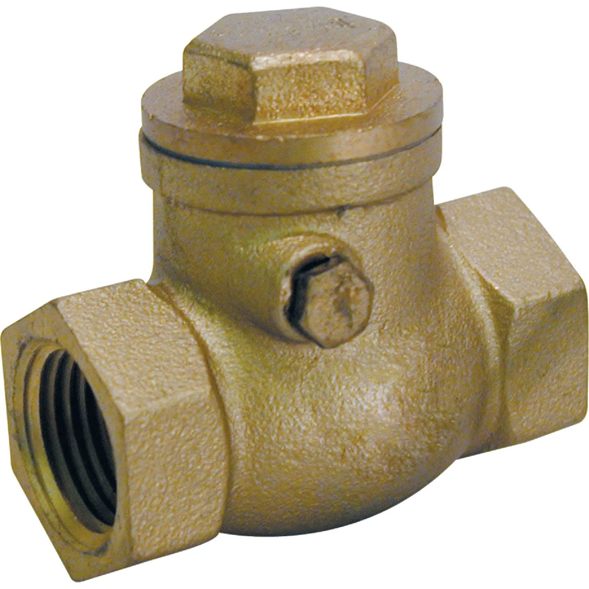 Elegant ProLine 1 2 In. Brass Swing Check Valve Dependable