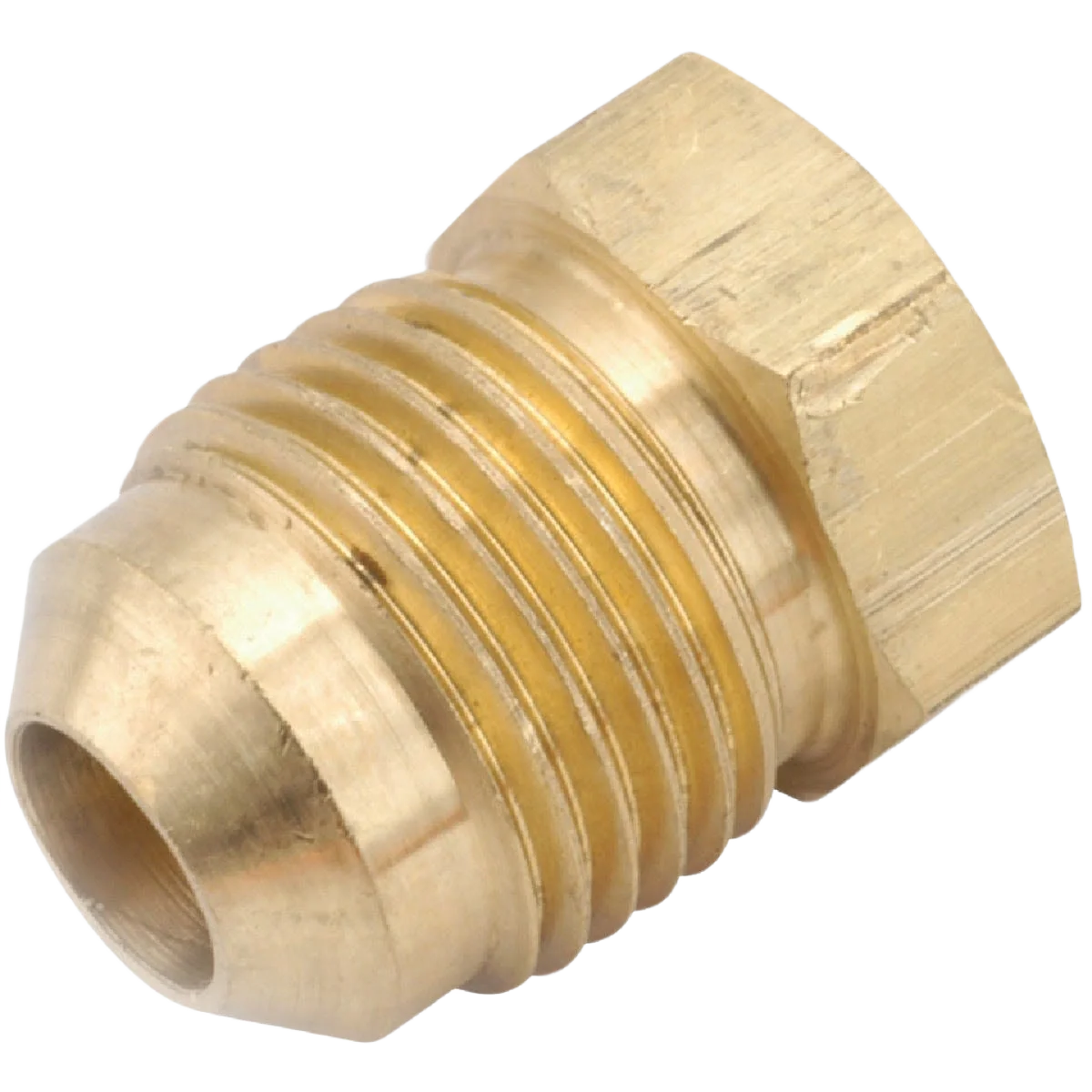 Exclusive Anderson Metals 3 8 In. Brass Flare Plug Durable