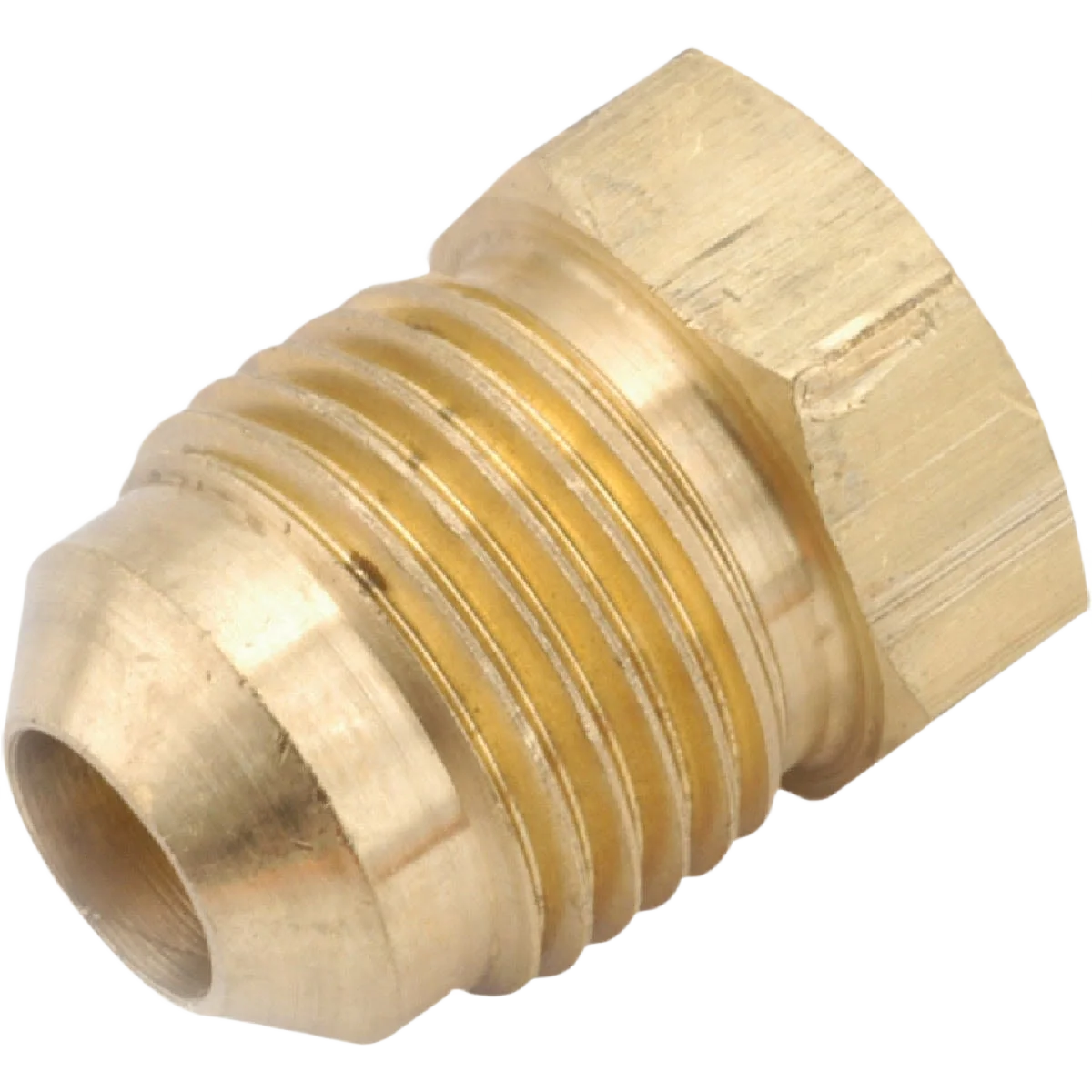 Casual Anderson Metals 1 4 In. Brass Flare Plug Flexible