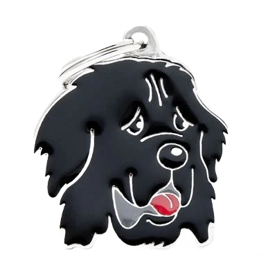 Lightweight MyFamily Newfoundland ID Tag Functional