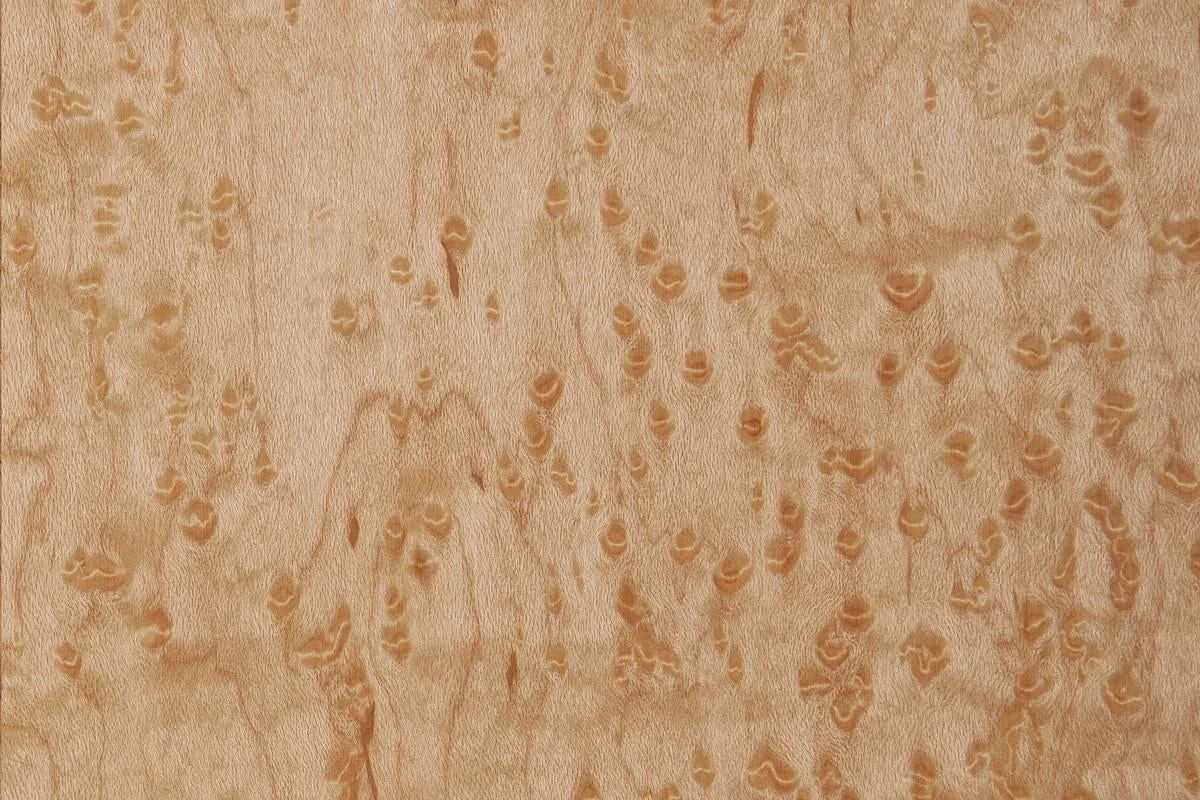 Official Sauers Birdseye Maple 3 sq. ft. Pack Trendy