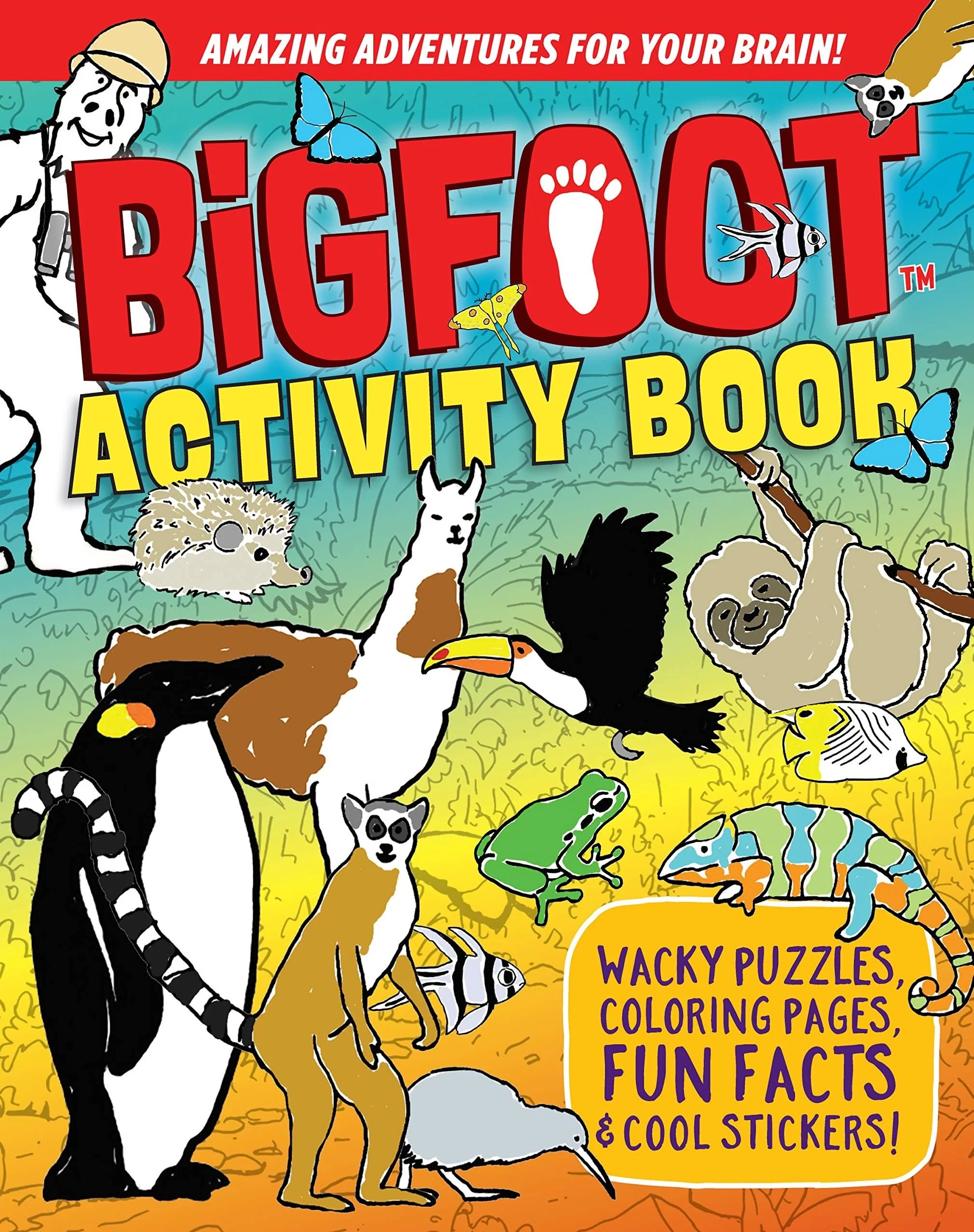 Environmentally Friendly Happy Fox Books BigFoot Activity Book Carefully Designed