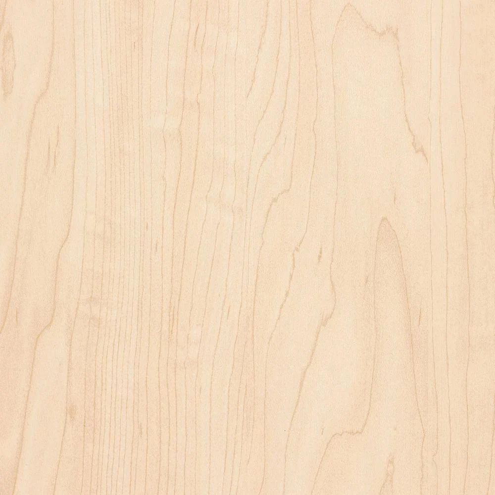 Easy-to-Use Sauers Maple 1X8 Maple 10Mil Trendy
