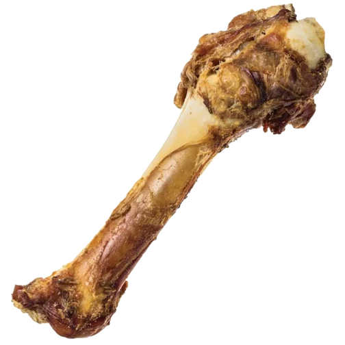 Official Redbarn Naturals Shank Bone Detailed