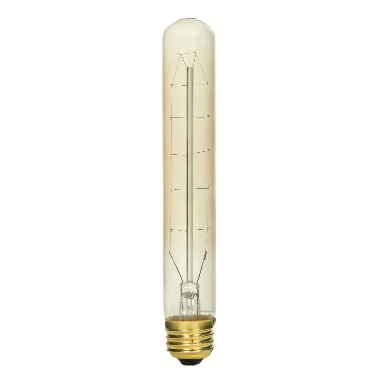 Pure Satco 60 Watt T9 Incandescent Medium Base Vintage Light Bulb Healthy