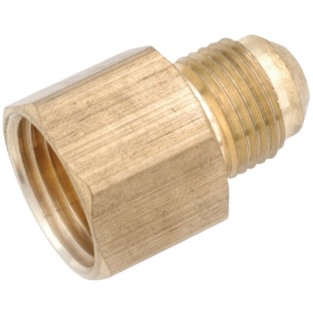Eco-Friendly Anderson Metals Brass Low Lead Female Flare Connector 5 16 In. x 1 8 In. Safe