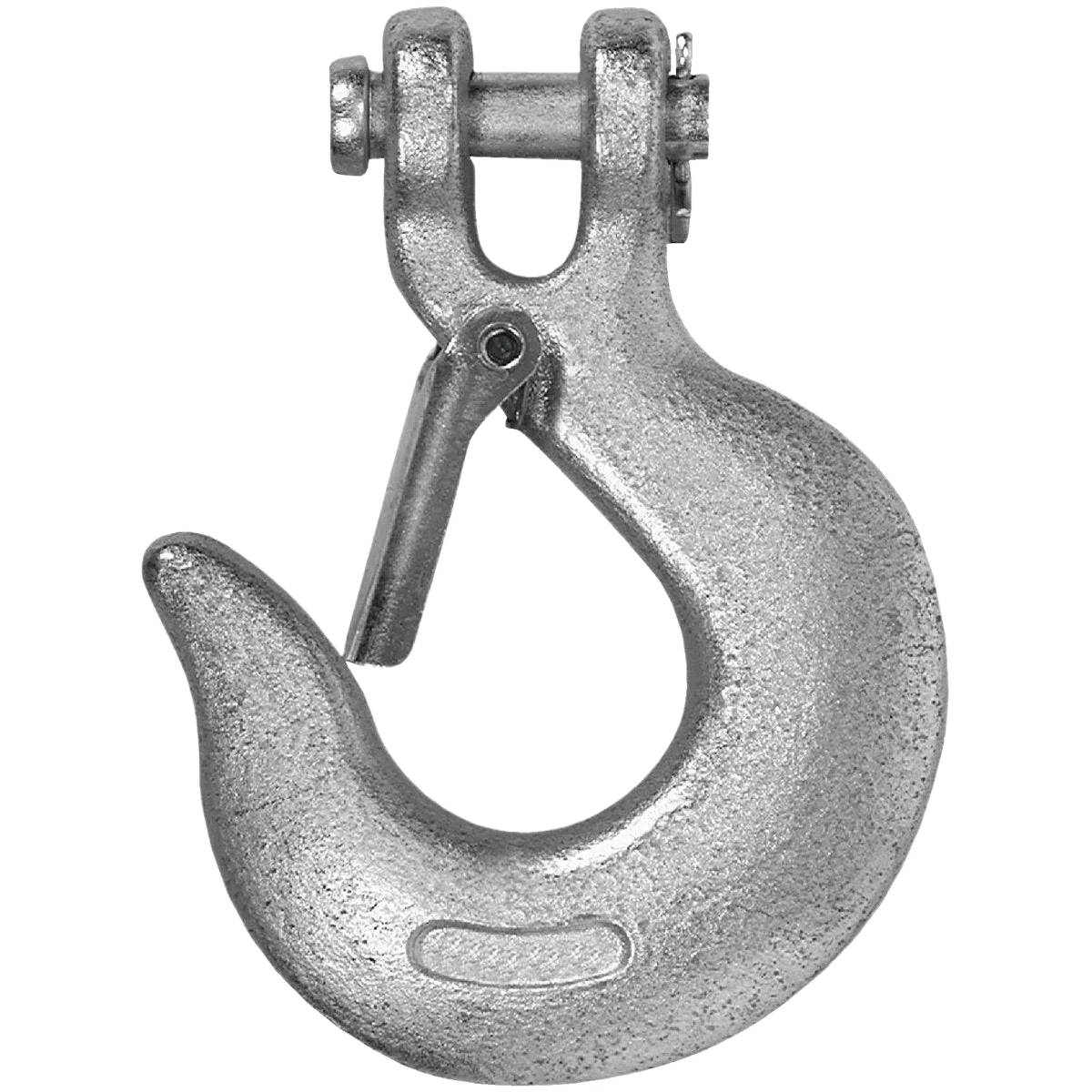 Premium Material Campbell Chain Clevis Slip Hook with Latch High-Grade