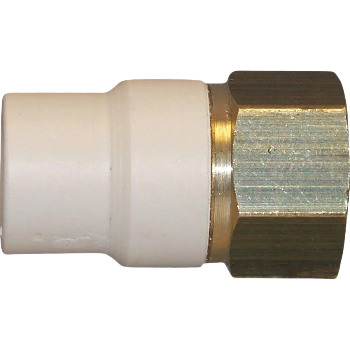 Crafted Charlotte Pipe 1 2 In. Slip x Brass FIP CPVC Transition Adapter World-Class