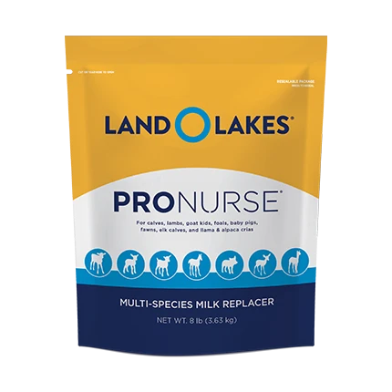Safe Land O Lakes ProNurse Multi Species Milk Replacer 8 lb. Professional