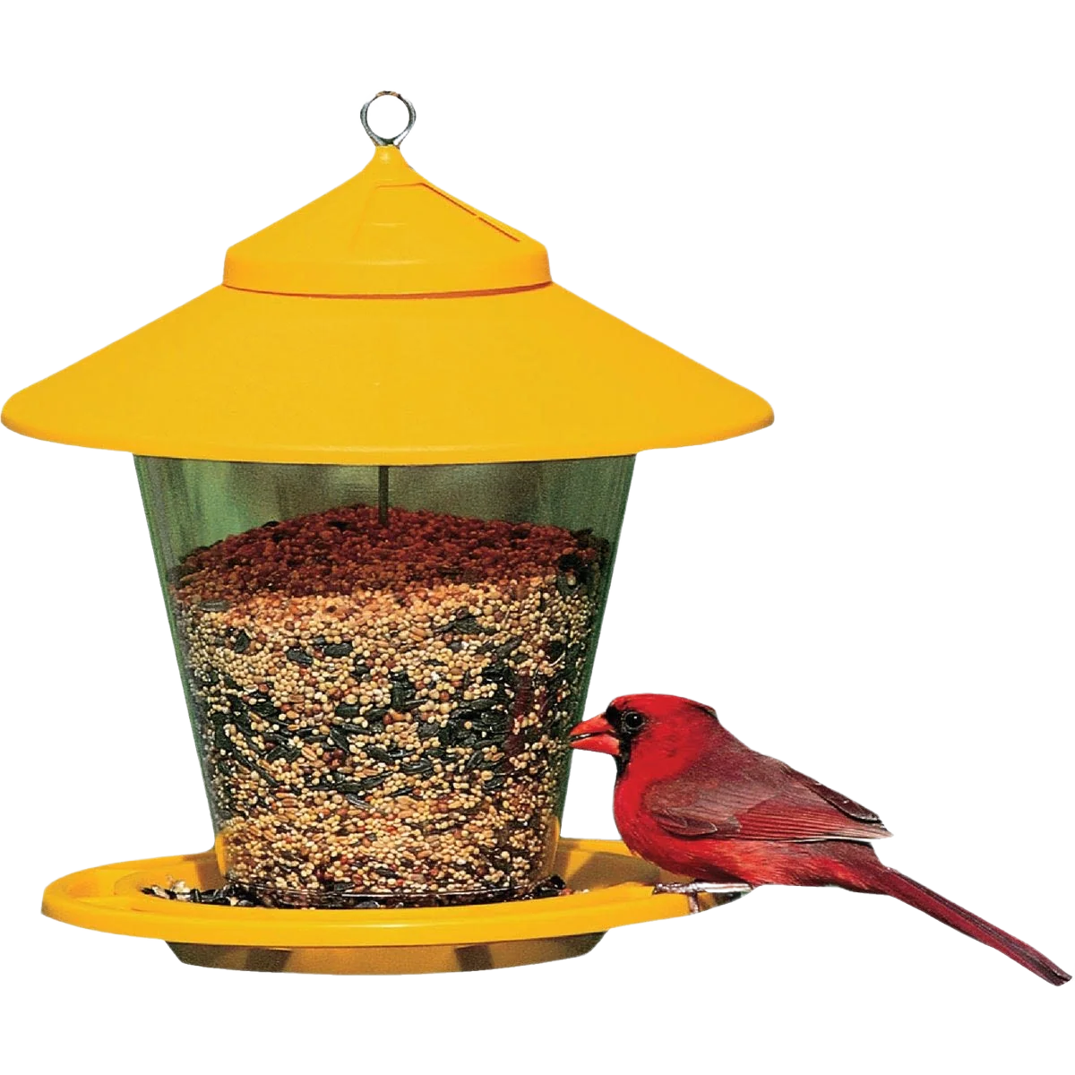 Functional Cherry Valley Granary Hopper Bird Feeder 4 lb. Capacity High-Grade