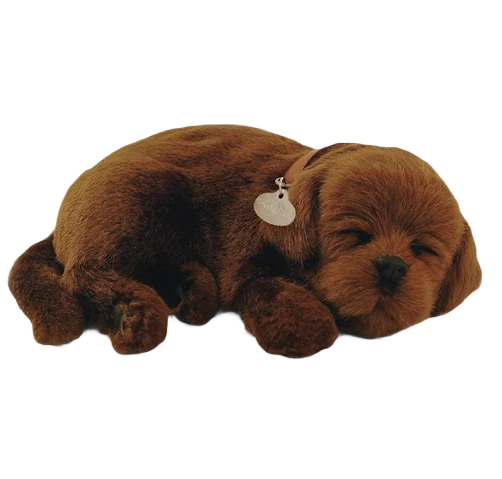 Contemporary Petzzz Chocolate Lab Pet Classic