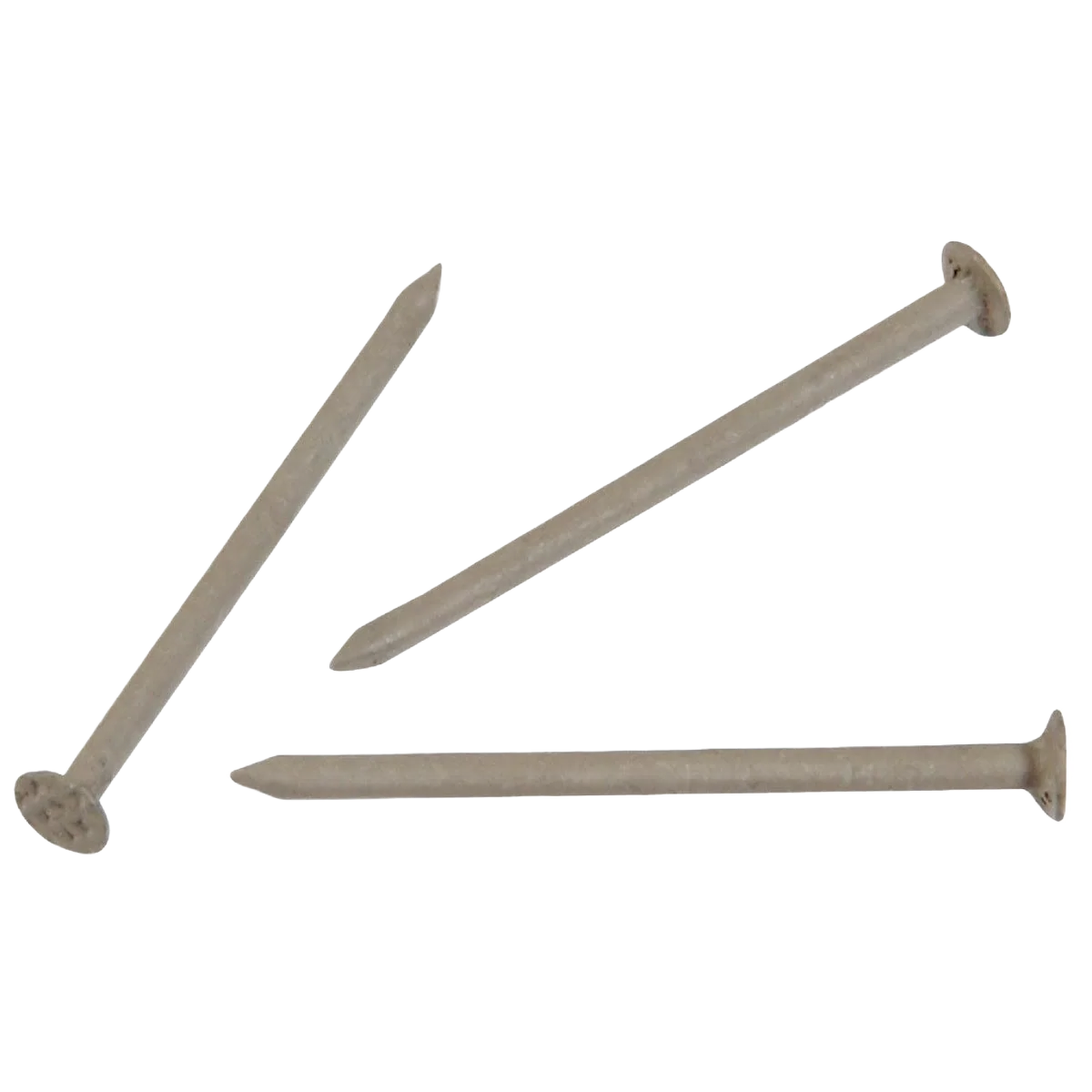 Fine Crafted Anchor Wire 1-1 4 15-Gauge Clay Stainless Steel Trim Nails 5-Count Casual