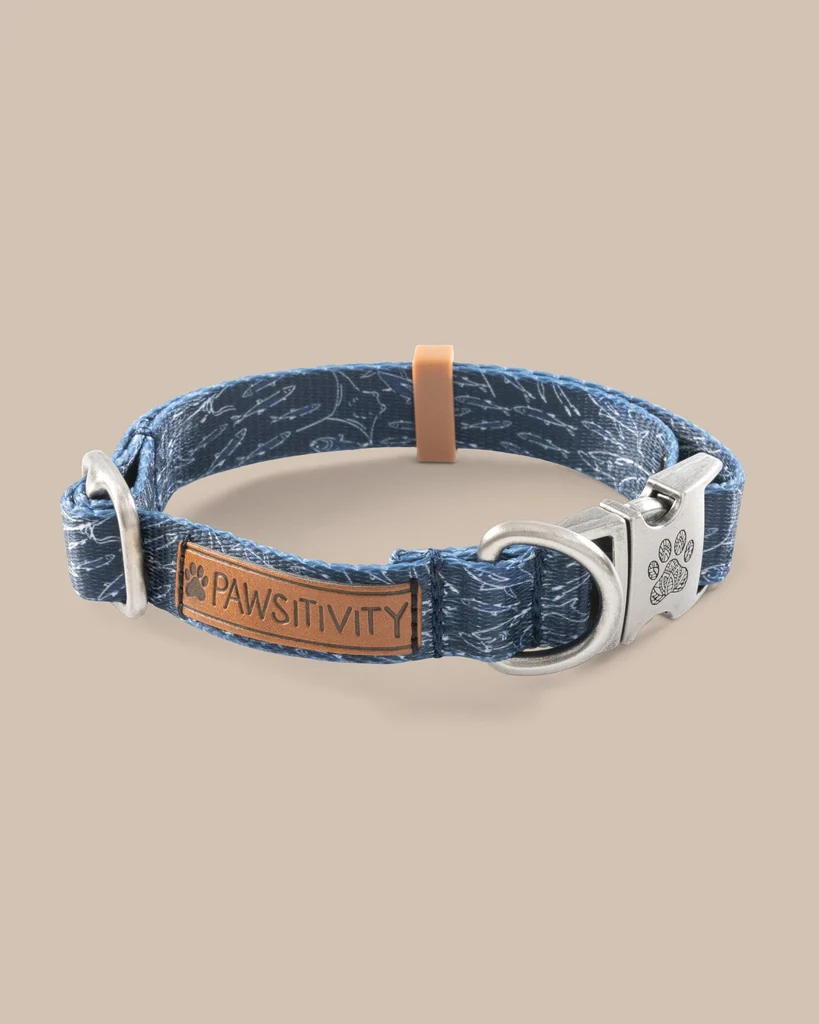 Powerful ST x Pawsitivity Schooling Fish Dog Collar Fine