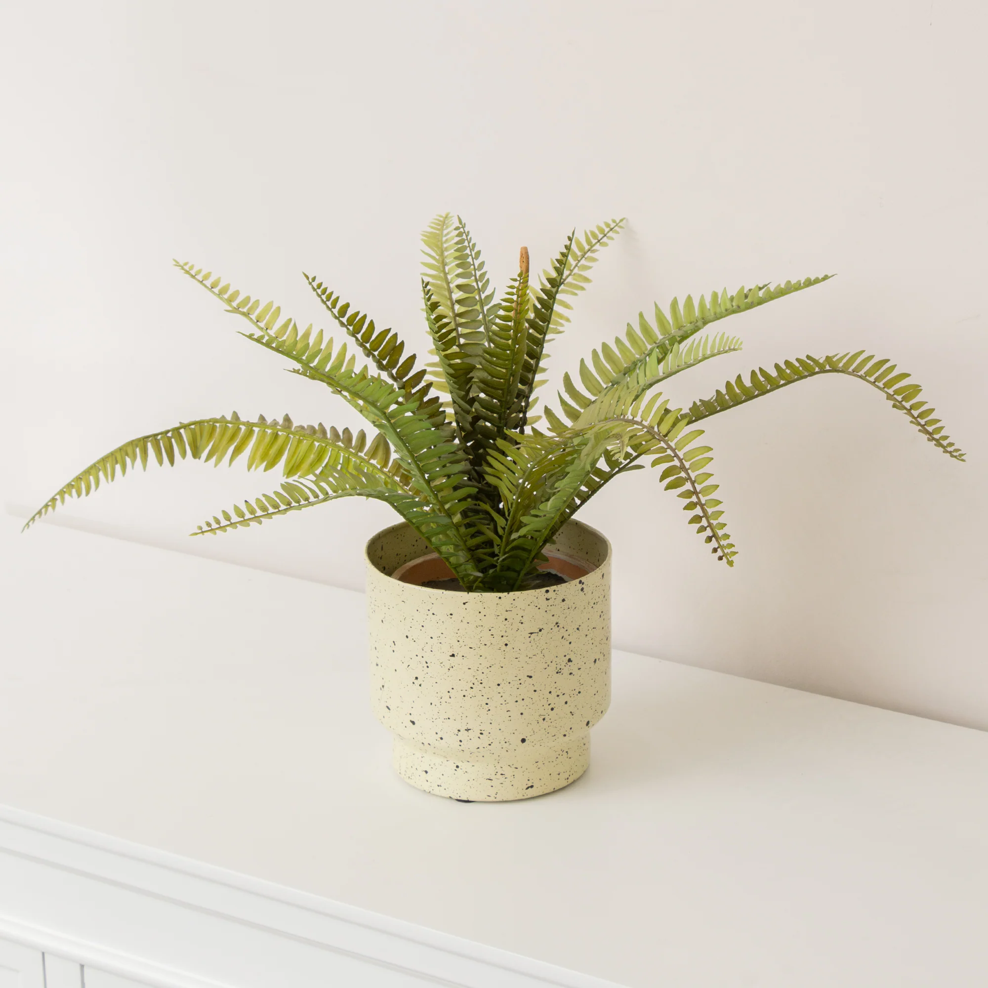 Versatile Small Ivory Speckled Iron Planter Pot – 15.5cm Verified