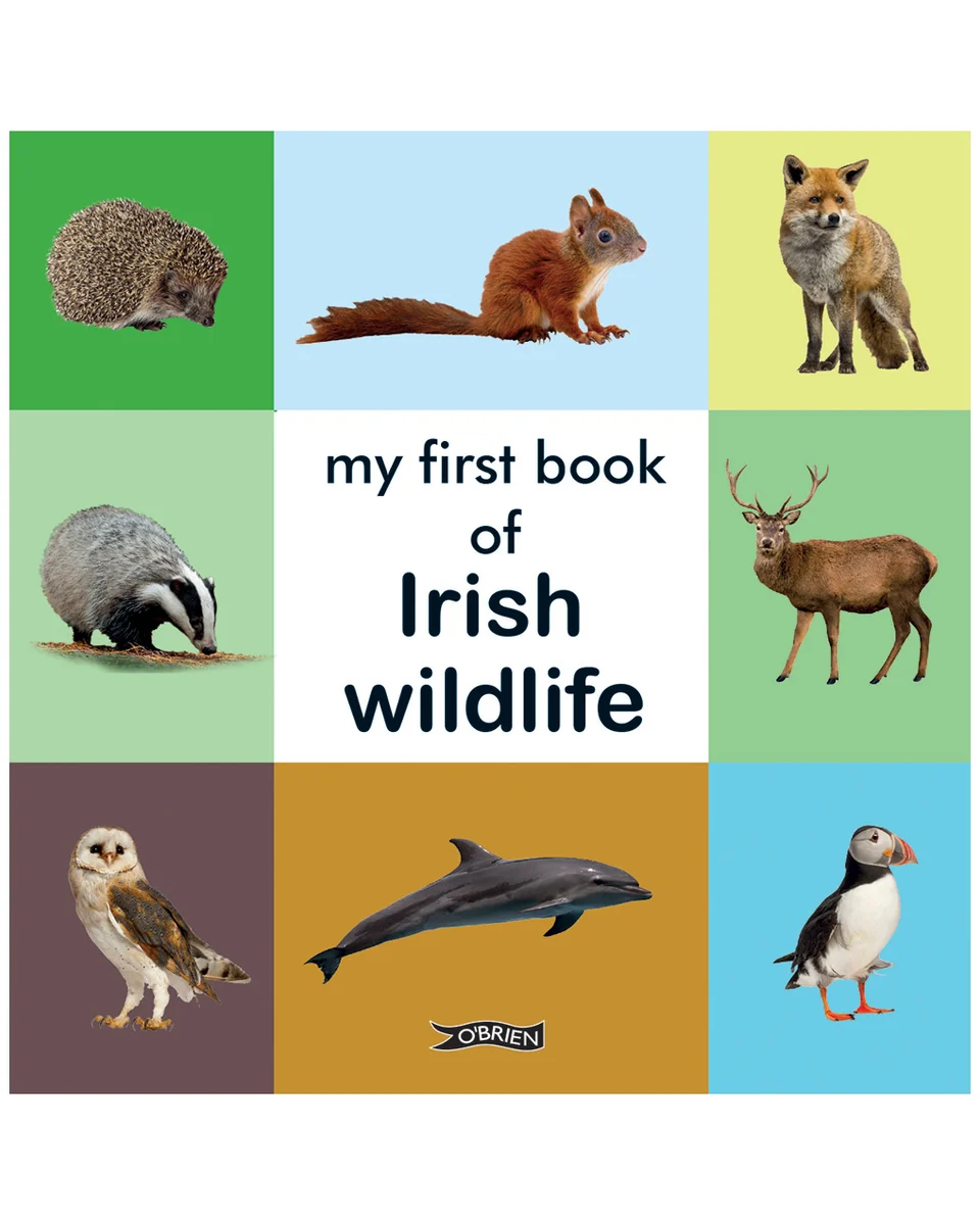Organic My First Book of Irish Wildlife- Children’s Book Unique