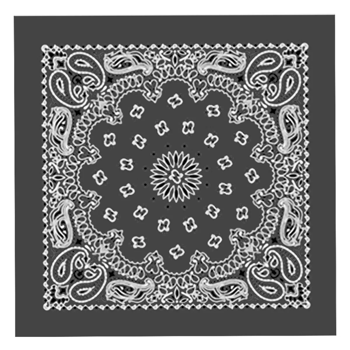 Reliable Hot Leathers BAP1006 Classic Charcoal Paisley Bandana Next-Generation