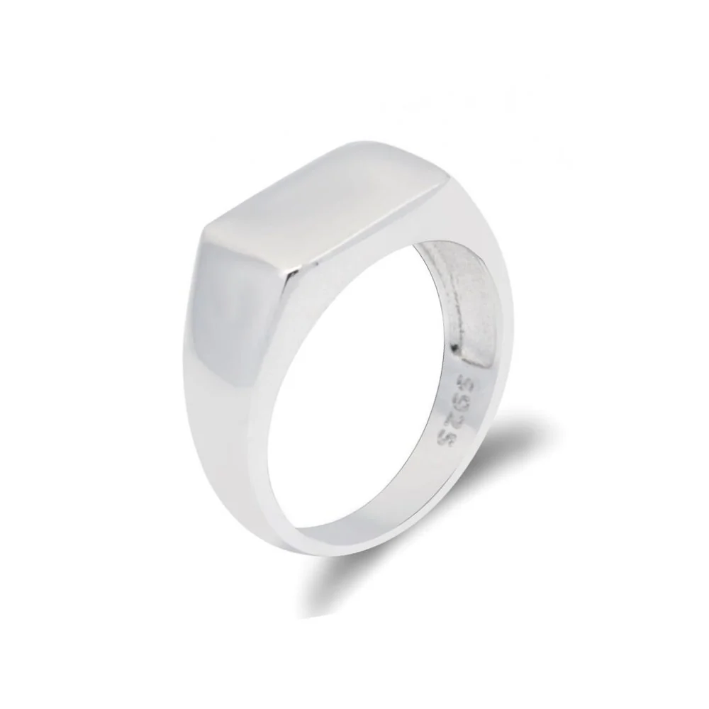 Premium Material Noah Anillo de sello de plata de ley 925 Fine Crafted