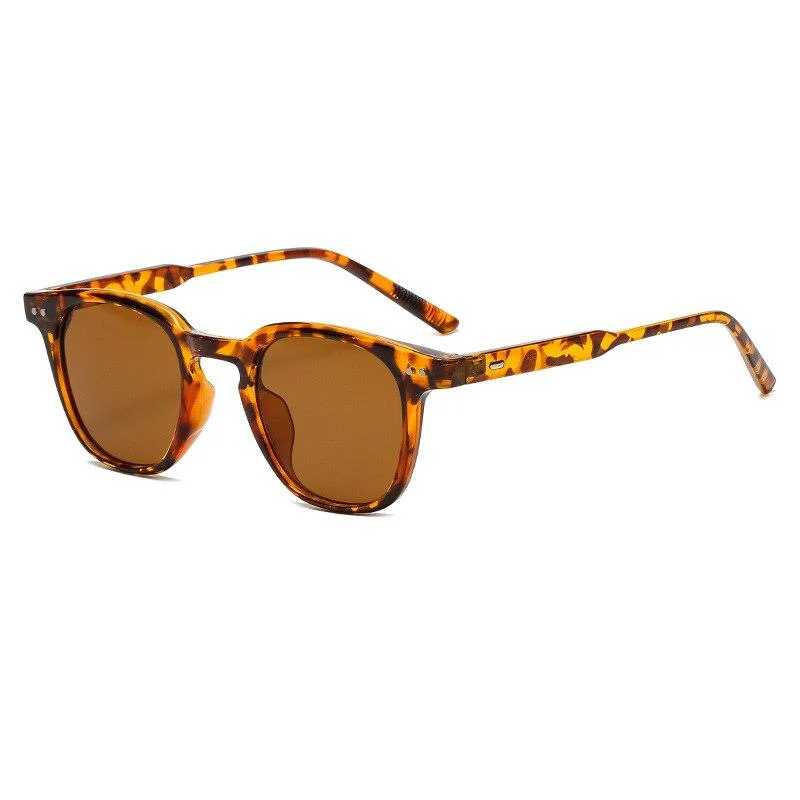 Proven Vito Milano Tortoise Sunglasses Secure