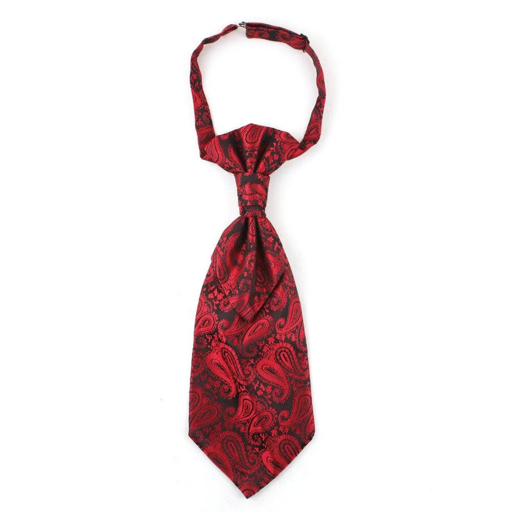 Easy-to-Use Corbata Ascot Paisley Preanudada Traditional