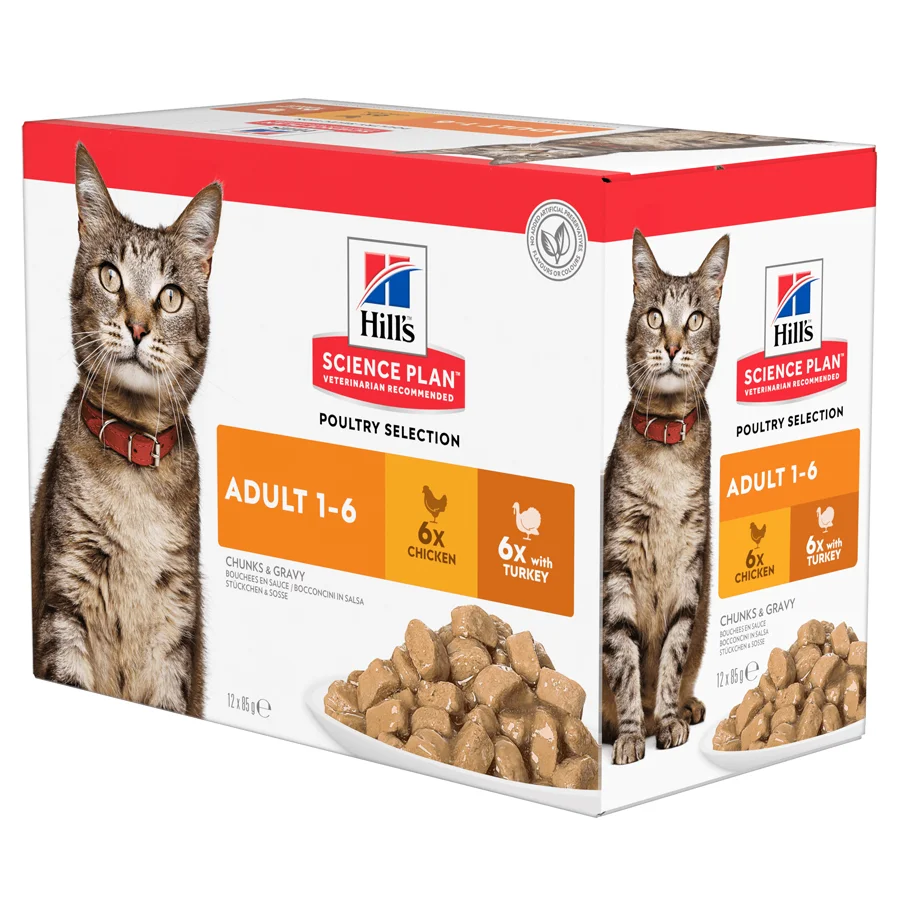 Modern Hill x27 s Science Plan Adult Wet Cat Food Chicken Turkey 12x85g Efficient