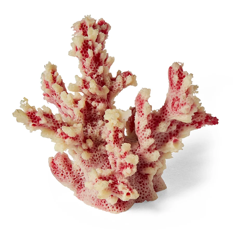 Exclusive Pets at Home Branch Coral Aquarium Ornament Mini Pink Refined