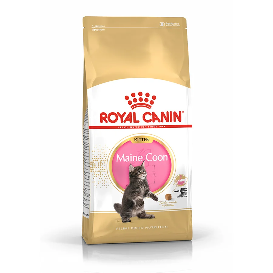 Artisan Royal Canin Maine Coon Kitten Dry Cat Food 10kg Consistent