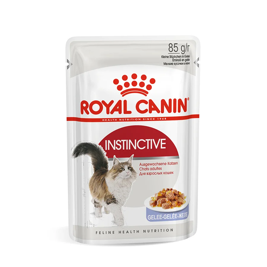 Next-Generation Royal Canin Feline Instinctive Wet Adult Cat Food In Jelly 12x85g Comfortable