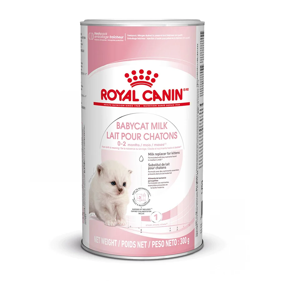 Exceptional Royal Canin Feline Babycat Milk Wet Kitten Food 300g Long-Lasting