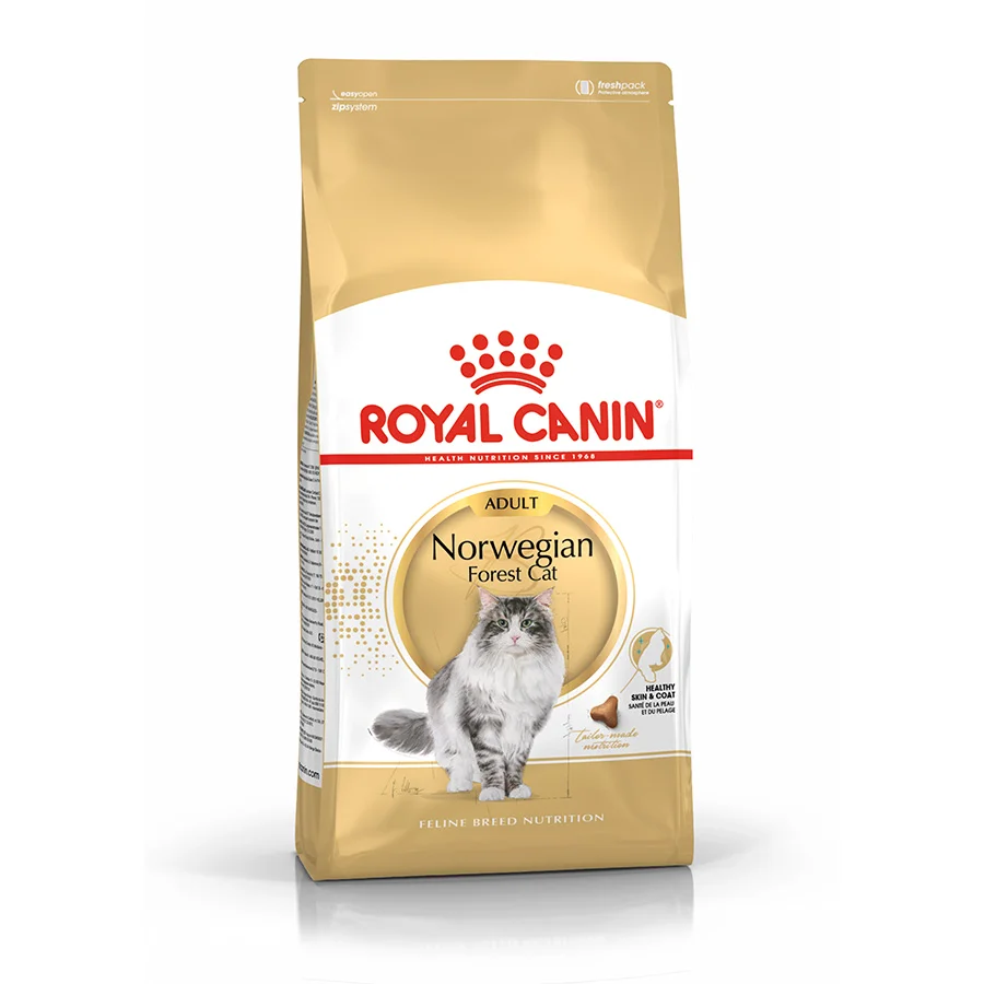 Innovative Royal Canin Norwegian Forest Adult Dry Cat Food 10kg High-Quality