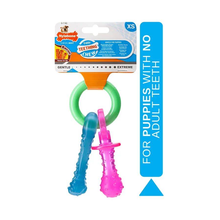 Modern Nylabone Pacifier Puppy Chew Toy X Small Powerful