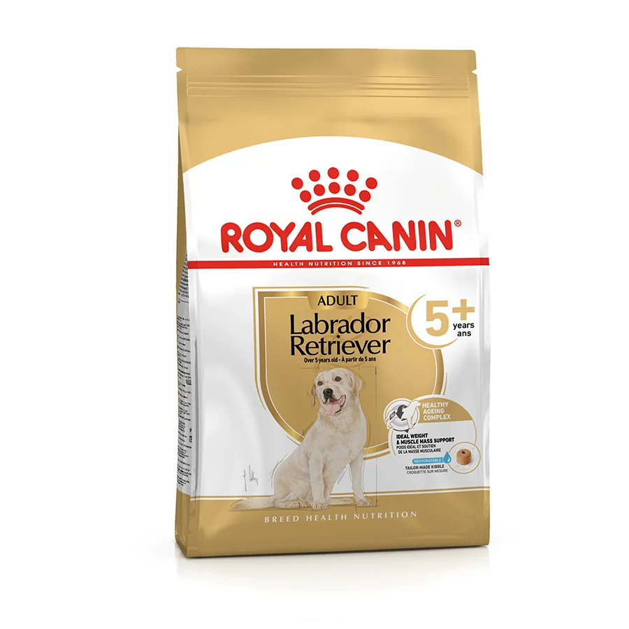 Solid Royal Canin Labrador Retriever 5 Dry Dog Food 12kg Convenient